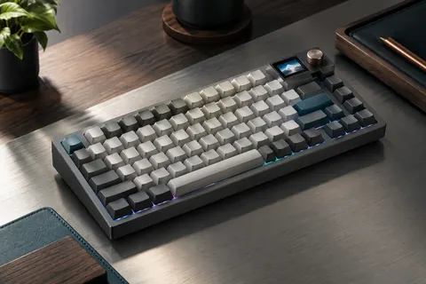 Clavier mécanique compact gris au format 75 %, avec écran TFT, molette et rétroéclairage RVB.